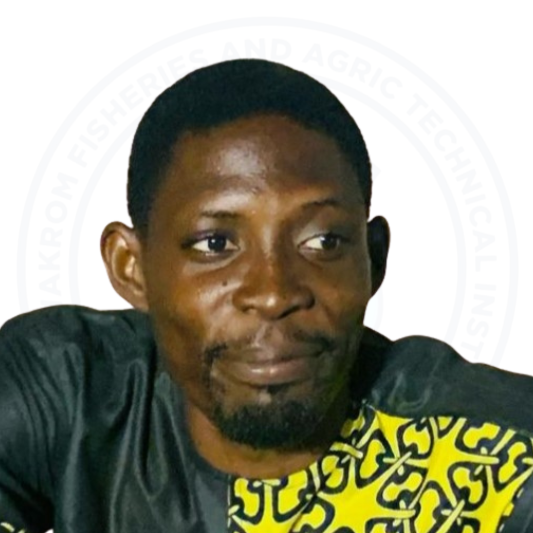 Creative Arts - Mr. Theophilus Amponsah